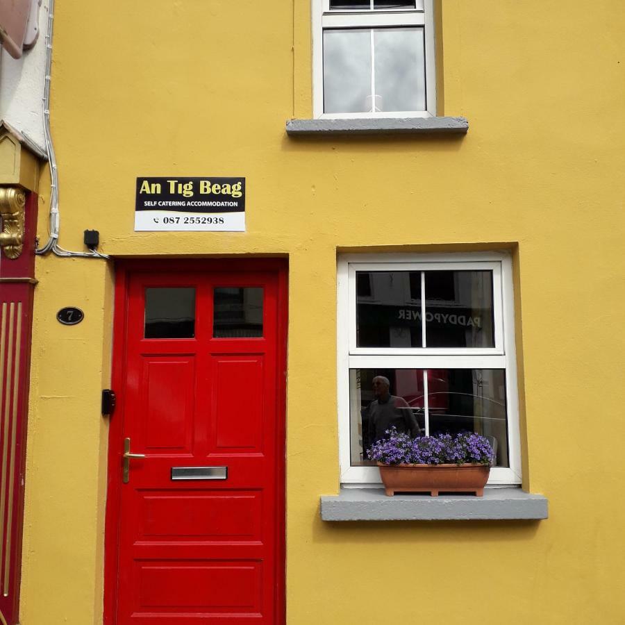 Antig Beag Villa Kilmacthomas Bagian luar foto